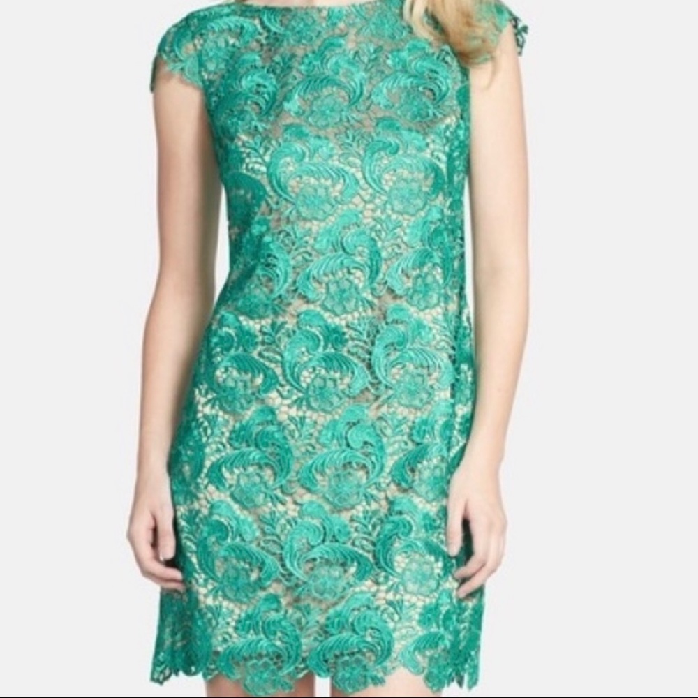 Eliza J Shift Dress